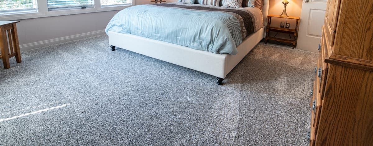 PCS Move Carpet Cleaning: What Military Families Should Know