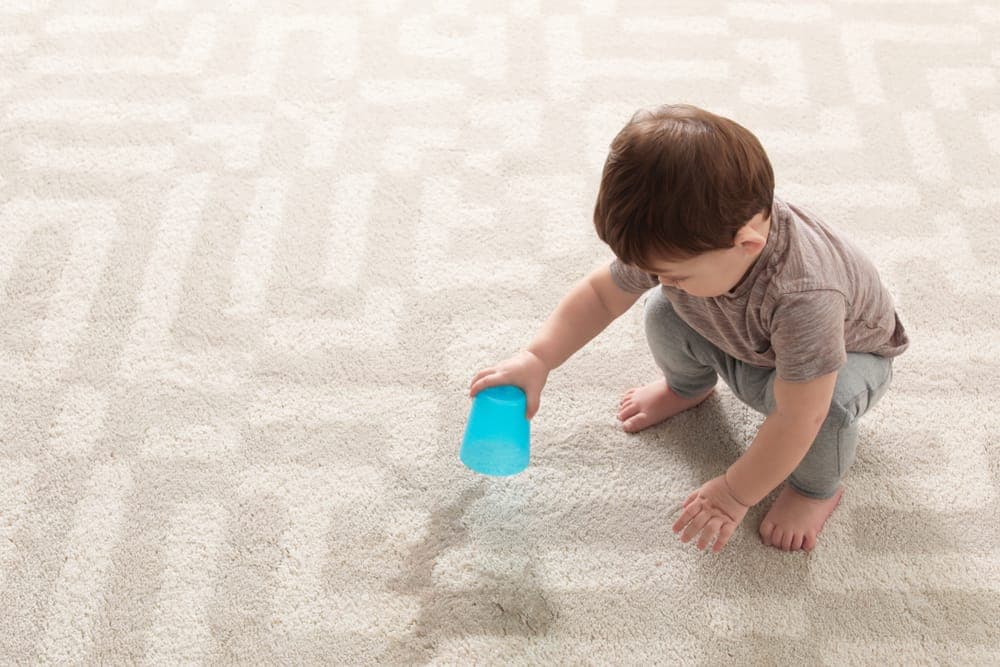 Spring Cleaning Checklist for Columbia County Homes